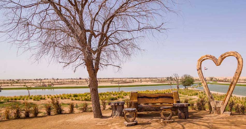 Al Qudra Lake