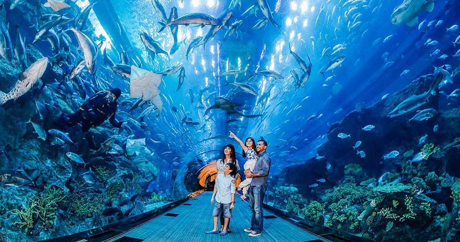 Dubai Aquarium and Underwater Zoo