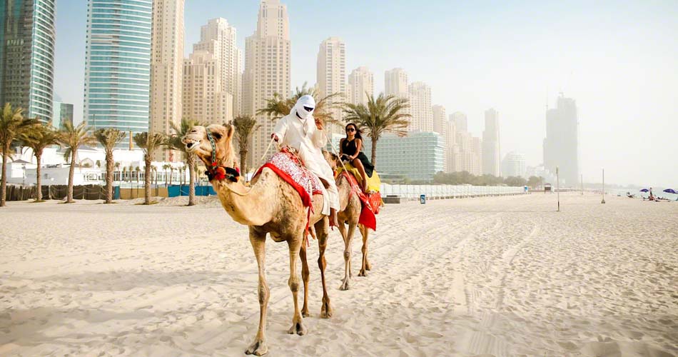 Dubai Camel ride