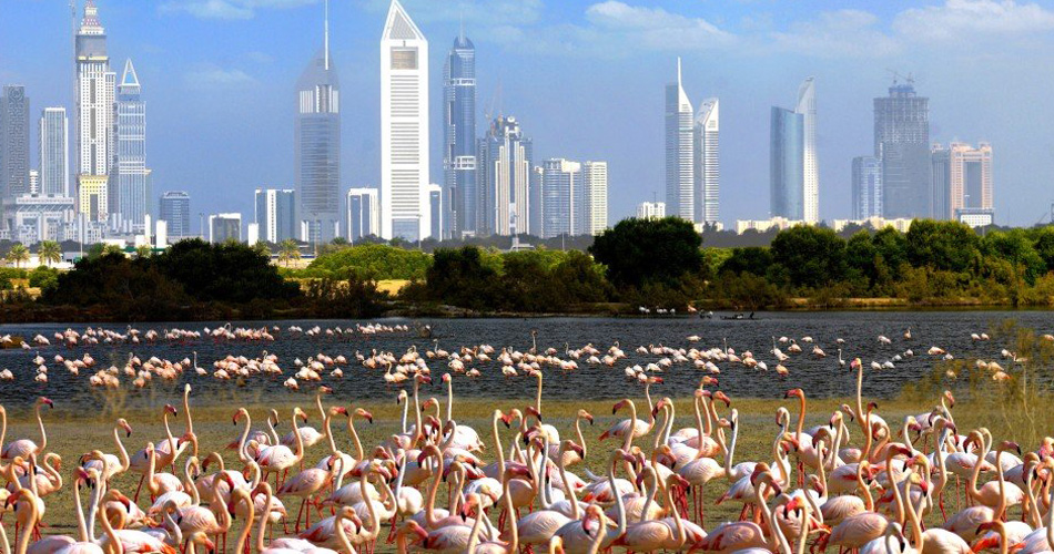 Dubai 2019