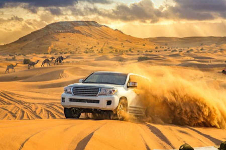 Evening Desert Safari Dubai