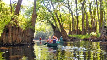 Top 7 reasons to visit Georgia from UAE