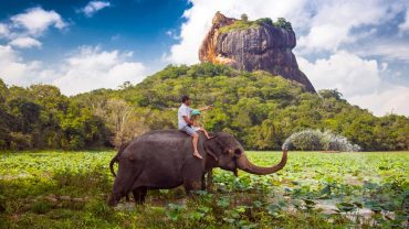 Reasons to choose Sri Lanka as your next travel destination!