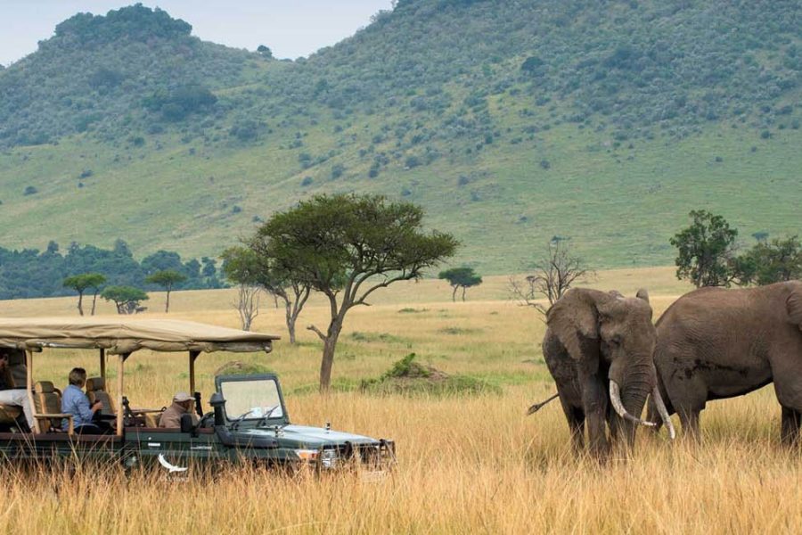 Kenya Tour Packages from Dubai