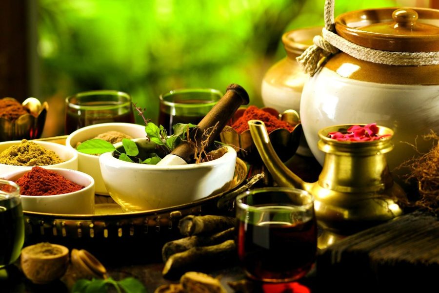 Kerala Ayurveda Rejuvenation Packages