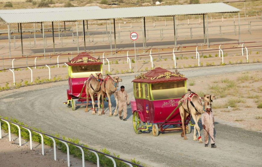 Dubai Royal Camel Racing Club Tickets