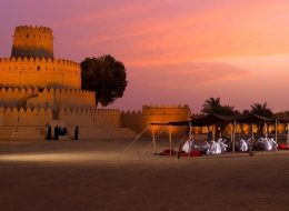 Al Ain City Tour