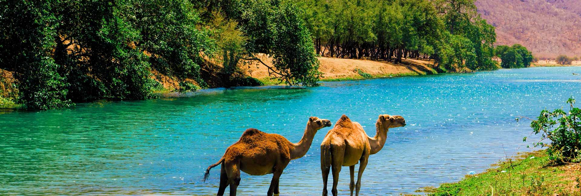 salalah one day tour package