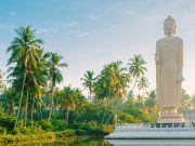 Sri Lanka Tour Packages from Dubai